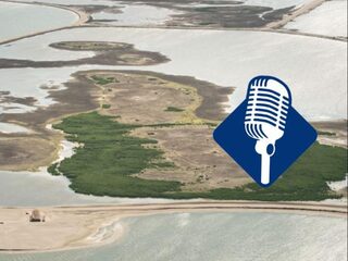 Podcast De Dag: sneak preview Marker Wadden, het nieuwe stukje Nederland