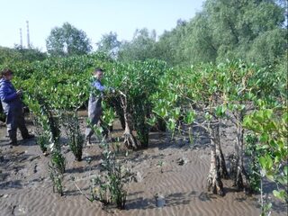 Met de poten in de Chinese modder