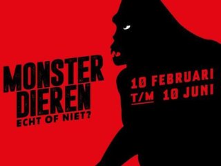 Monsterdieren in het Teylers Museum