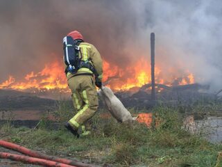 We kunnen er niet omheen dat we varkens enkel zien als een economisch gegeven