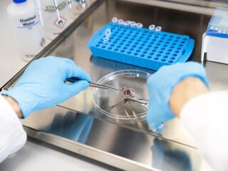 Feit of Fictie: Als 2 procent van de Nederlanders DNA afgeeft, zijn alle Nederlanders te identificeren