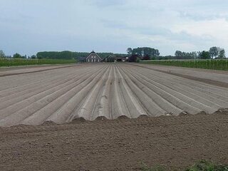 "Het Europese landbouwbeleid moet op de schop"