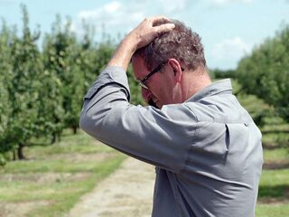 Fruittelers lijden onder Russische boycot en willen af van sancties tegen Rusland