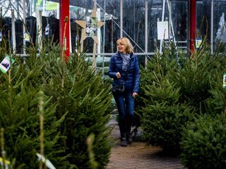 8 tips om meer plezier te hebben van je kerstboom