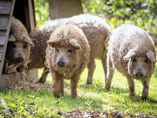 Deadlinestress? Ga naar buiten!