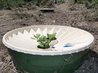 Minder water, meer bomen: deze emmer gaat het klimaat redden