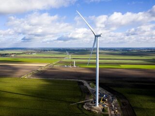 Feit of Fictie: Eén zwartgeverfde wiek van een windmolen kan dode vogels voorkomen