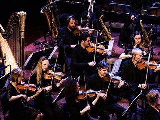 David Crosby naar Nederland voor samenwerking met Metropole Orkest