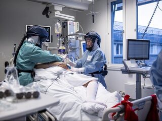 De snelle opmars van de superschimmels