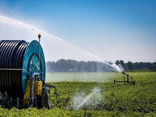 Stand.nl: Boeren moeten meer steun krijgen vanwege de droogte