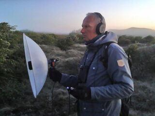 Voor iedereen die concerten mist: het Nationaal Vogelconcert