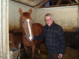 Hoe integer zijn integriteitsonderzoeken?