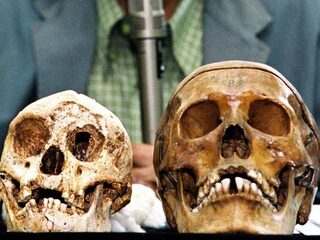 We zijn nestbevuilers, moordenaars en makers