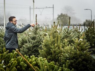 Je mag de kerstboom weer zetten: 8 tips om hem mooi te houden