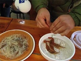 Mischa Says Hi! #1: Kronkelende tentakels op je bord