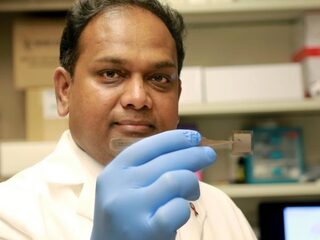 Spectaculair: deze chip herstelt beschadigd weefsel