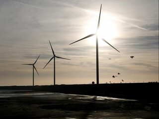 Noodklok om windmolens: 'Voor inwoners moet het helder zijn hoe de belangen zijn afgewogen'