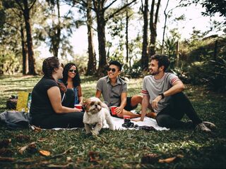 Vergeet de barbecue: de picknick wint terrein