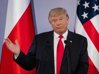 De baviaan op de apenrots die best een goede president zou kunnen zijn