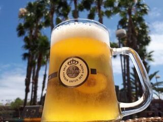 Het alternatief voor hemelvaart: mannendag!