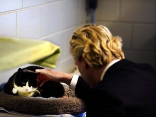 Snoetje en Pluisje en Kluun voor Kaag: elke spindoctor droomt van een eigen Telegraaf-pagina