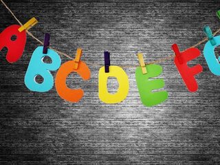 VVD-Kamerlid: verplichte kleuterstage op pabo verdwijnt