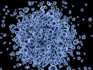 Mogelijk Nederlands middel tegen hiv en andere virussen