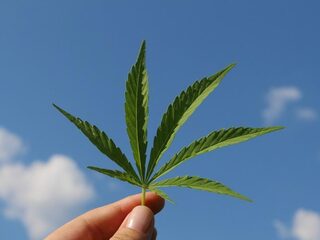 Cannabis maakt je gevoeliger voor valse herinneringen