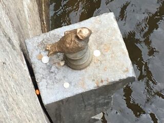 WK-column: De redder van de duivels heet Chizhik-Pyzhik