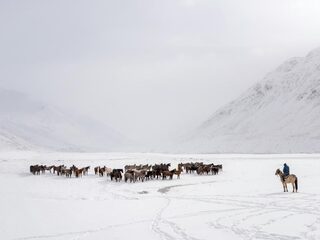 Een paard is je vriend, die eet je toch niet op?