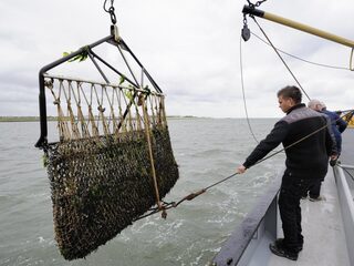 Volbouwen Noordzee met windmolens: ‘De burger pikt dit niet, weet het effect niet’