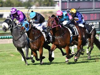 Het Britse paardenracen is plots in crisis. De reden? Paardengriep.
