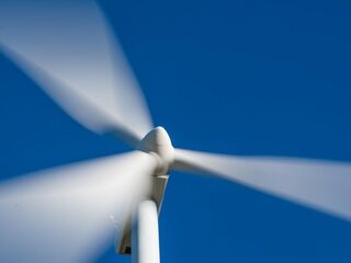 Voor een zeearend stopt de windmolen met draaien