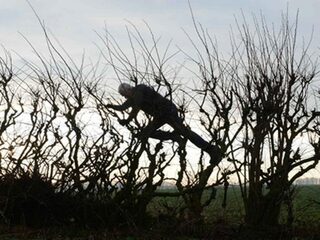 Landschapskunstenaar Andy Goldsworthy duikt letterlijk diep in de natuur