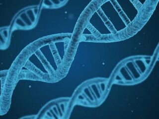 Je dna aan de overheid geven? In Estland hebben ze daar weinig moeite mee