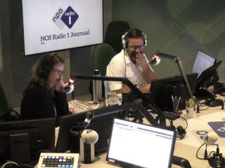 Kritiek van Jan Publiek: wespen & Toto