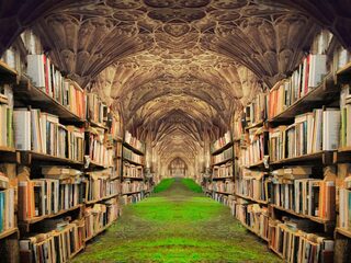 Aanraders: deze non-fictie boeken