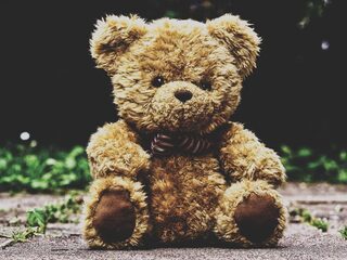 'Op internet gaan filmpjes rond van een jongetje dat de keel van een teddybeer doorsnijdt'