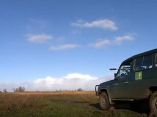 Podcast De Dag: hoe is het om mee te kijken met schutters Oostvaardersplassen?