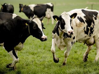 Kan de boer nog wel boeren? Op bezoek bij de boeren zelf