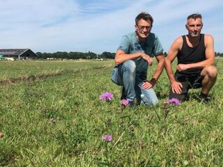 Meer Omega-3 in melk uit kruidenrijke wei