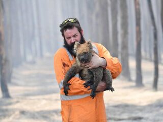Massale sterfte in Australië dwingt ons om naar dieren te luisteren