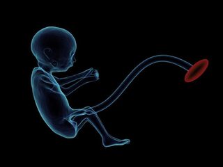 Mogen we embryo's genetisch aanpassen?