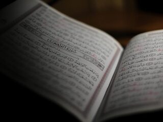 'Geschokt reageren op salafisme is niet geloofwaardig'