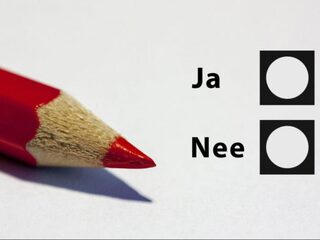 'Het referendum komt terug na de volgende verkiezingen'
