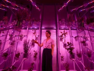 Dit is hoe Dutch Design is veranderd