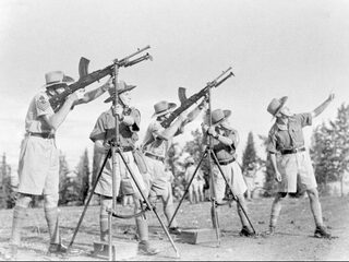 Waarom schieten op Irma totaal idioot is