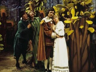 Nog één keer Hamelen omdat 'op televisie zo weinig kon'