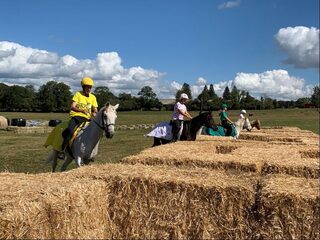 De paarden van Bagnols