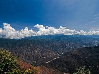 Tanja Nijmeijer: 'De FARC wordt weggezet als een verschrikkelijke bende'